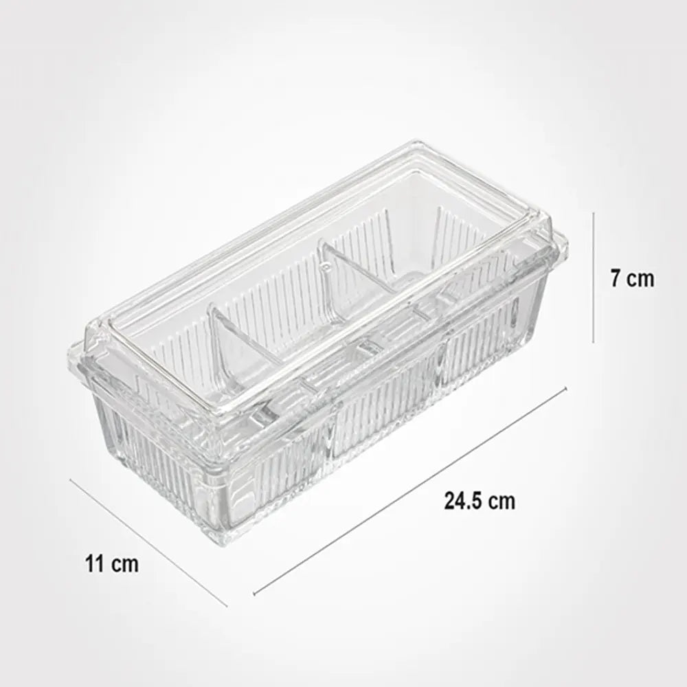 DIVIDED SNACK TRAY