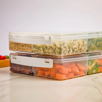 BIG 4 SECTION FREEZER BOX