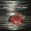Super Glue Rat Magic Carpet