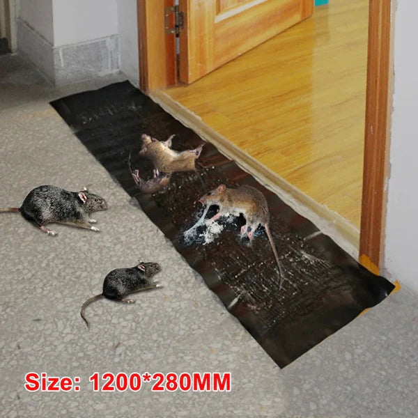 Super Glue Rat Magic Carpet