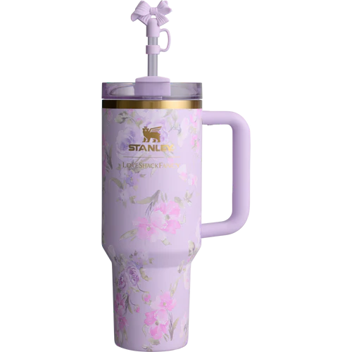 40oz Printed Tumbler with Straw and Handle – Stanley Style