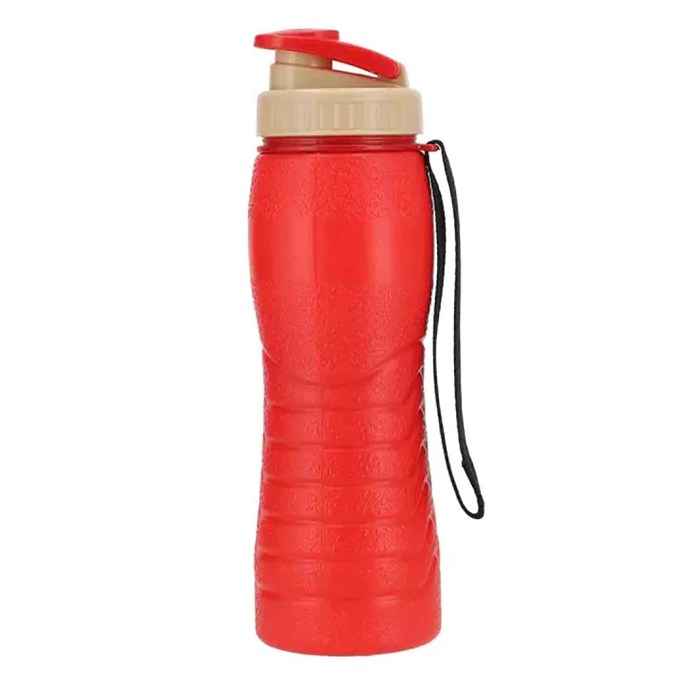 Spring Thermic Water Bottle 500 ML