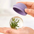 1PC Spherical Ice Cubes Silicone Molds Home Ice Cube Molds Small Light Bulb Ice Ball Moulds Kitchen Tools